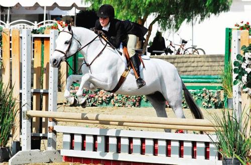 Skylar Nelson - Chronicle of the Horse